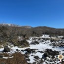12월 겨울 제주도 여행 가볼만한곳 겨울 여행코스