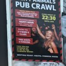 Limit 8 호스텔 | [여행 기록] 폴란드 1일차(1부), 크라쿠프, 호스텔 파티, Let's Rock Party Hostel! Age Limit From 18...