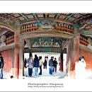 칠포1리 이미지