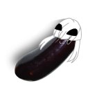 르카 이미지