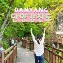 단양군보건소(개방) | 단양 잔도길 단양강잔도 암벽 둘레길 단양가볼만한곳 ♪