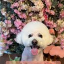 온블리살롱 이미지