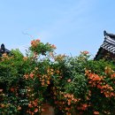 수로왕릉 이미지