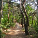 돌산공원 정상 이미지