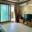 토토멍 애견풀빌라 이미지