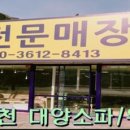 타이어프로순천가곡점 이미지
