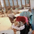 live cafe 우리들 이야기 | 존스호텔 여름휴가 애견동반 펫룸 2박 3일 여행 내돈내산 후기, 부대시설 조식 주차, 행사 일정 총정리