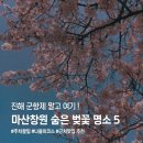남포식육식당 | 진해 군항제 인파 피해 여유롭게! 현지인이 아끼는 창원·마산 숨은 벚꽃 명소 코스 5