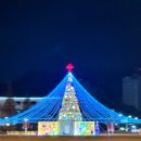 창원광장 앞 중앙대로 네이버블로그