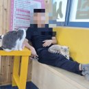 익산 고양이카페 아이캣유 이미지