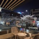 이삼칠(237)