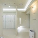 필라이브 이미지