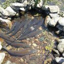 강천하루 이미지