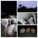 거문공업사