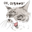 다케다야 이미지