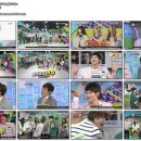 케이플로라 이미지