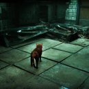 주식회사 넥스링크 이미지