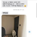 유모차카시트세탁뽀송 이미지