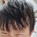 유유목장 이미지