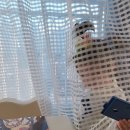 그림동화 만세 이미지