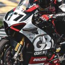 왈왈스쿨 이미지