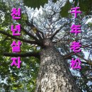 해운대전통시장 이미지