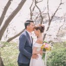 아뜰리에헤어 이미지