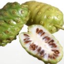 ㈜푸른무약 이미지