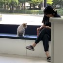 첨단사랑동물병원 이미지