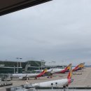 P-5101 | [일본]1월 오키나와 대가족여행