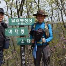 새만금숯 Daum카페
