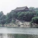 맵시 이미지