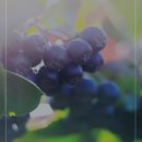 주식회사 제이비케이 이미지