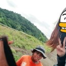 대림여행사