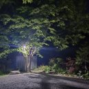 스마일캠핑장 | 경주 스마일 오토캠핑장 후기(260501~260502)