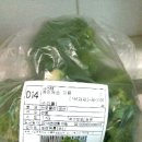 성연어린이집 이미지