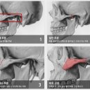 비엔성형외과의원 이미지