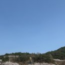 (주)천이코끼리주유소 | 광주 벚꽃 상황 ㅣ 광주 우치공원 벚꽃 ㅣ 광주 벚꽃 명소 데이트 ㅣ 광주 동물원 벚꽃 4월 2일 방문