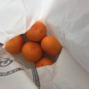 타이어테크 서귀포점 이미지