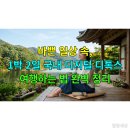 「SNS 함께 책 읽기」 5기 [그림책 충전] | 바쁜 일상 속, 1박 2일 국내 디지털 디톡스 여행하는 법 완벽 정리