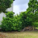 서진해장국