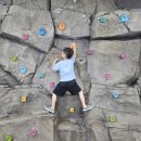 소백산비비 이미지