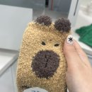 윤정슈퍼 | 월요일 둥근해 또 떠버렸구나