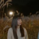 간만에 집중해서 본 명작 [어쩌다 마주친, 그대]