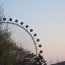 삼성전자 | 2025 상반기 삼성전자 MX GSAT 합격 후기 (2)