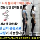 내몸에 맞는 다이어트 근육증가 재활운동 체형교정