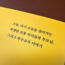 포코아포코 이미지