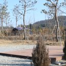 대율저수지 오토캠핑장 이미지