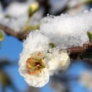 제8기 박물관대학 이미지