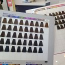 청주 송절동 미용실 로이드밤 테크노점 염색 후기